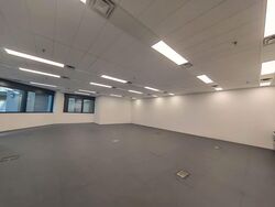 Robinson 77 (D1), Office #570505691